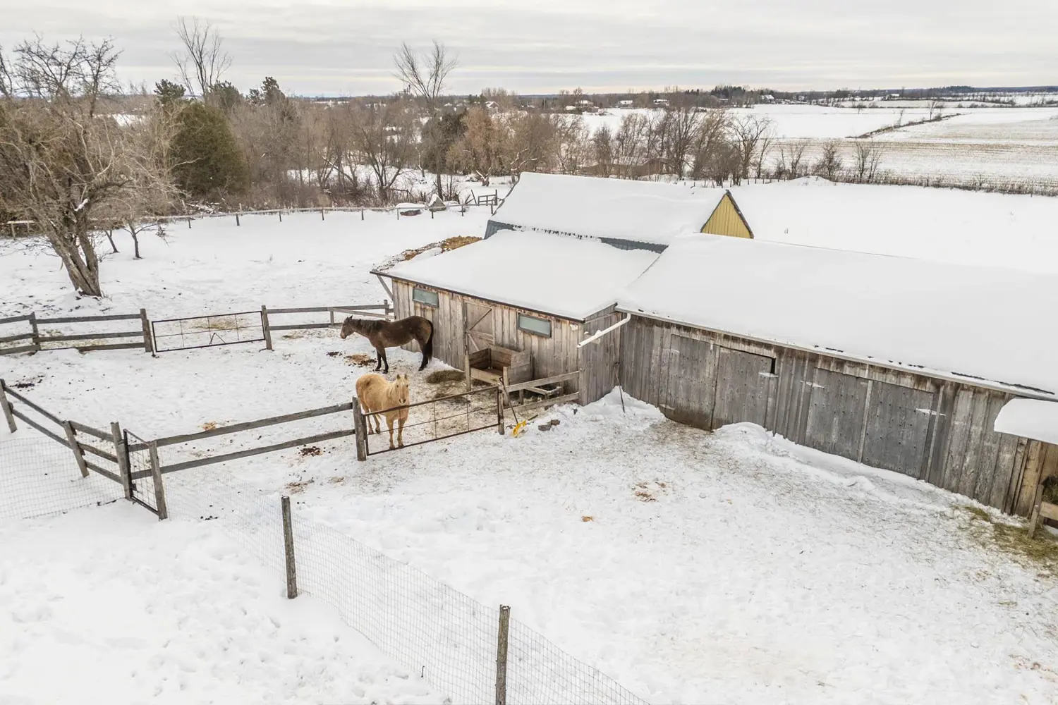Additional image 6 of 21237 Concession 6 Road