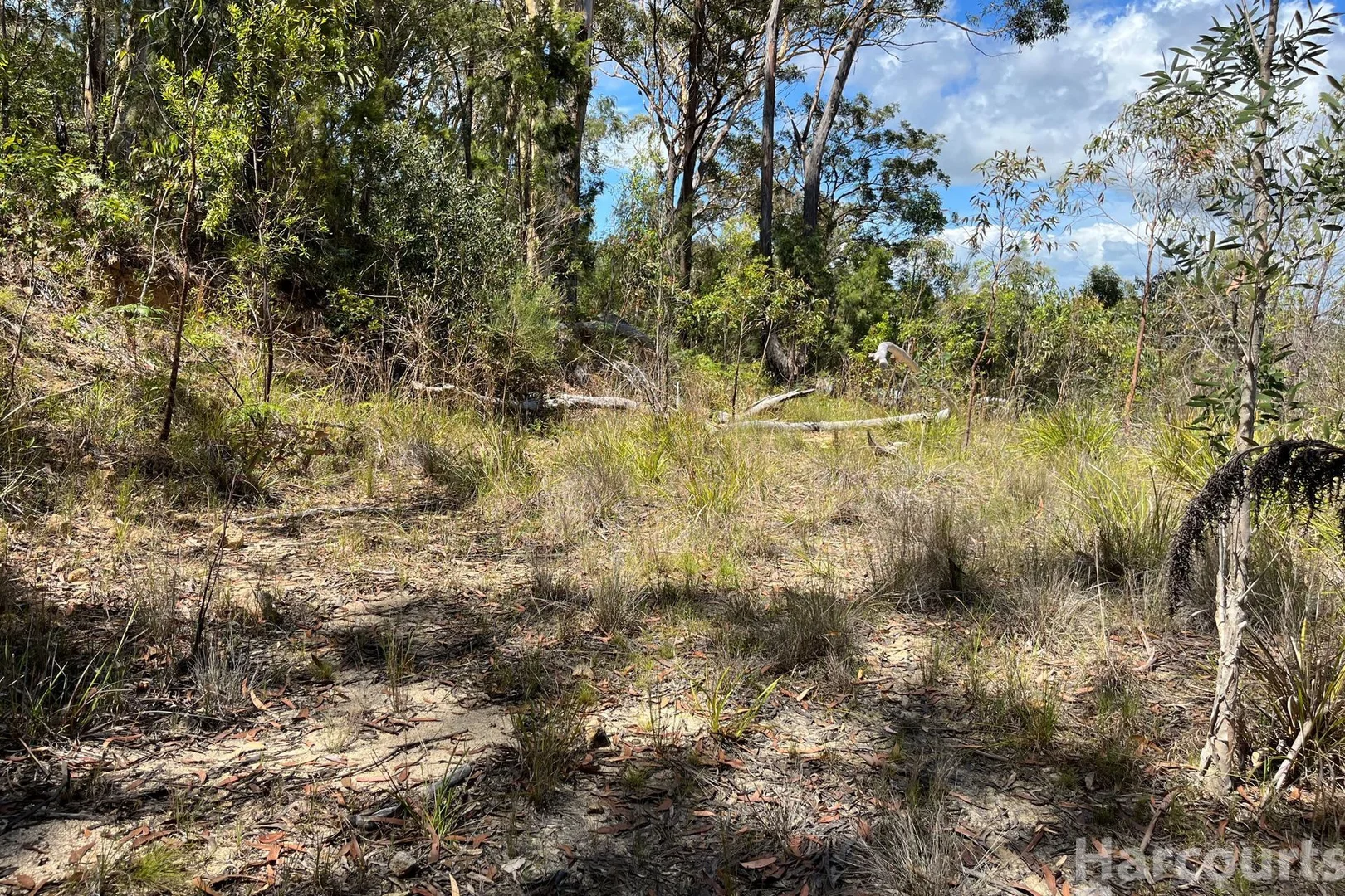 Additional image 3 of 132 Tallowwood Place, South West Rocks NSW 2431
