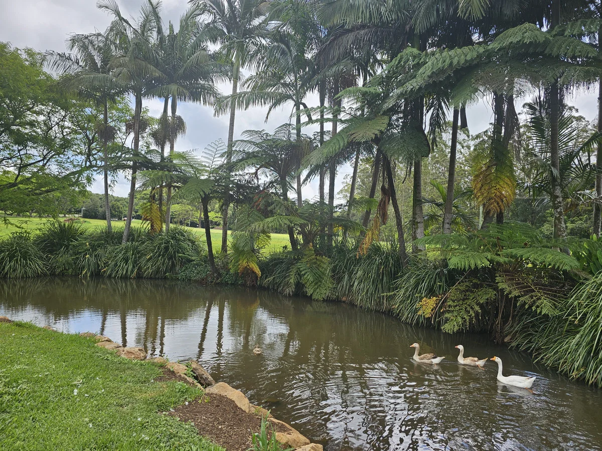 Additional image 3 of 517 Friday Hut Road, Brooklet NSW 2479