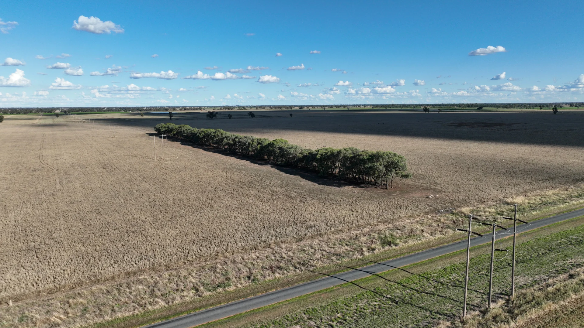 Additional image 9 of "Goonwarra"/1 Warragoon Road, Deniliquin NSW 2710