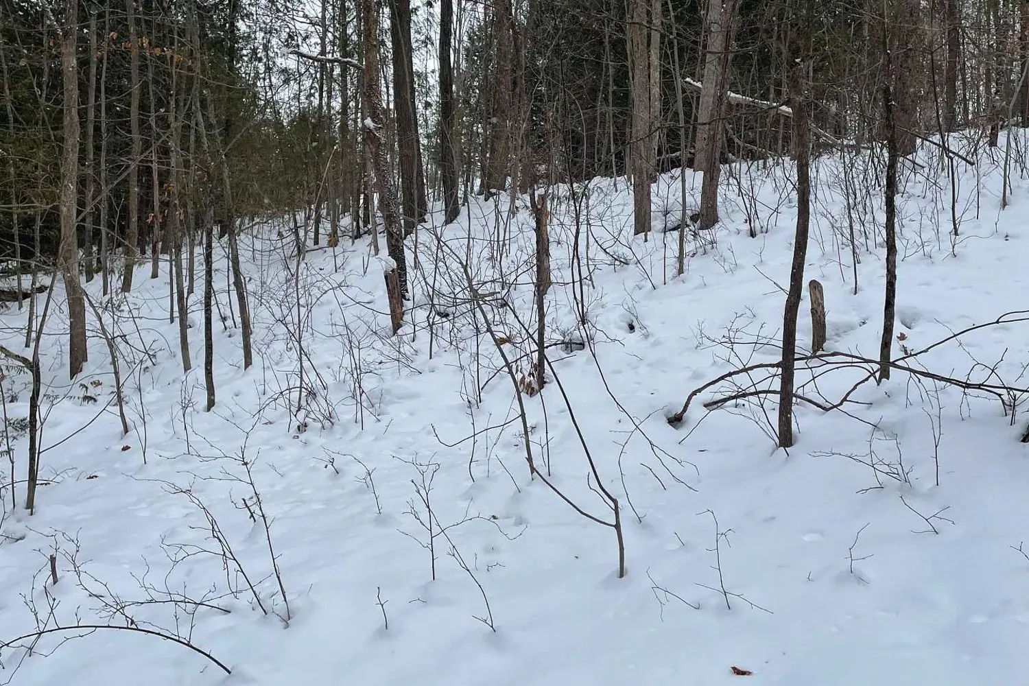 Additional image 4 of Ptlt 37 Trent View Drive