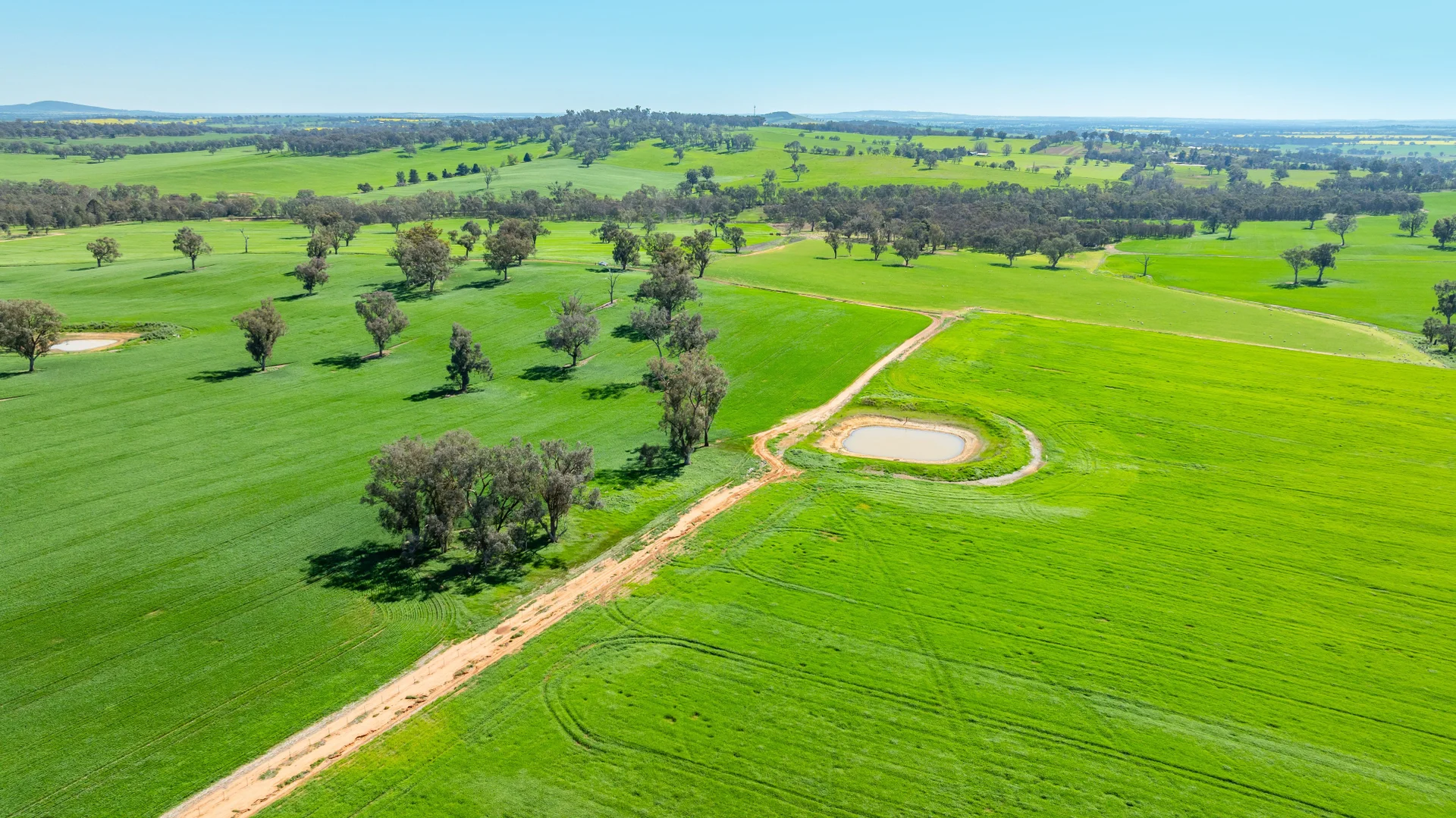 Additional image 30 of 1726 Howlong Burrumbuttock Road, Burrumbuttock NSW 2642