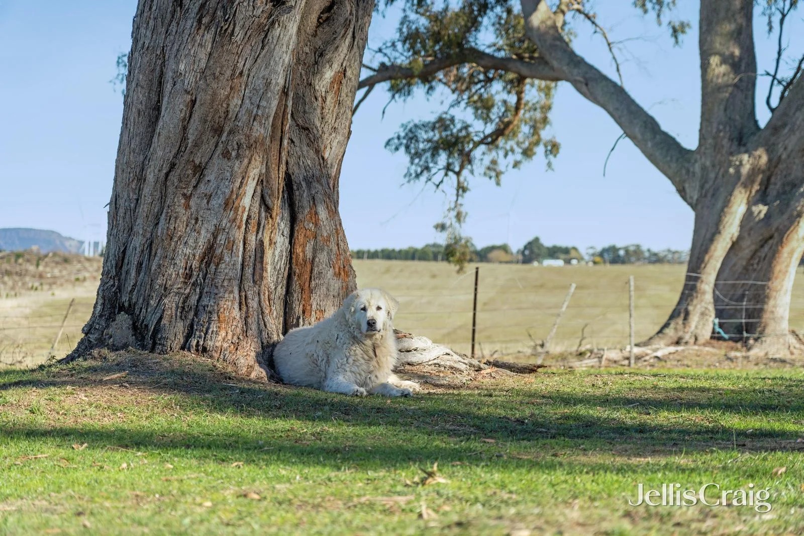 Additional image 10 of 396 Sullivans Road, Millbrook VIC 3352