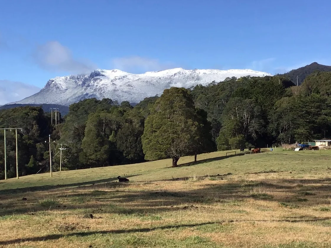 Additional image 12 of 12384 Murchison Highway, Rosebery TAS 7470