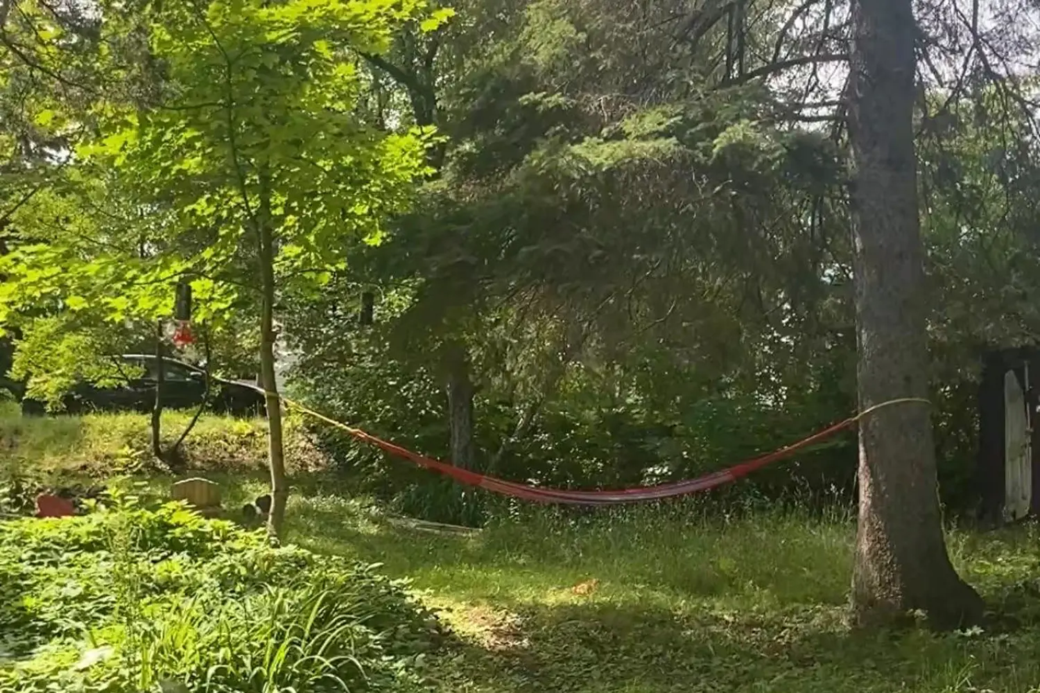 Additional image 13 of 16 Cora Street