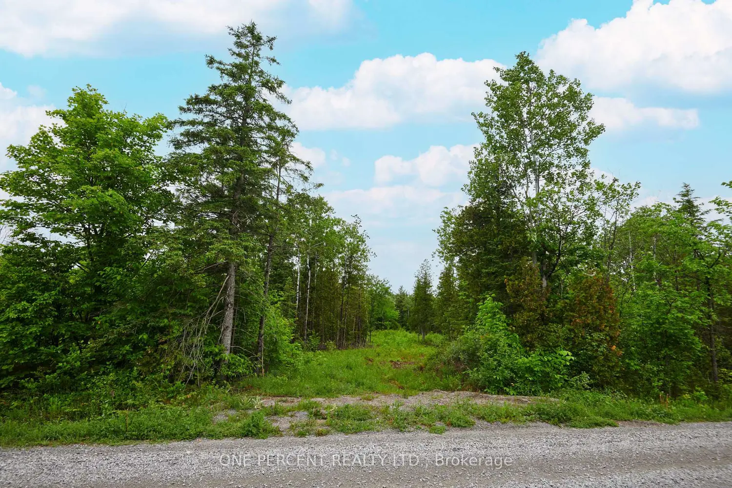 Additional image 3 of 622 Kings Creek Road