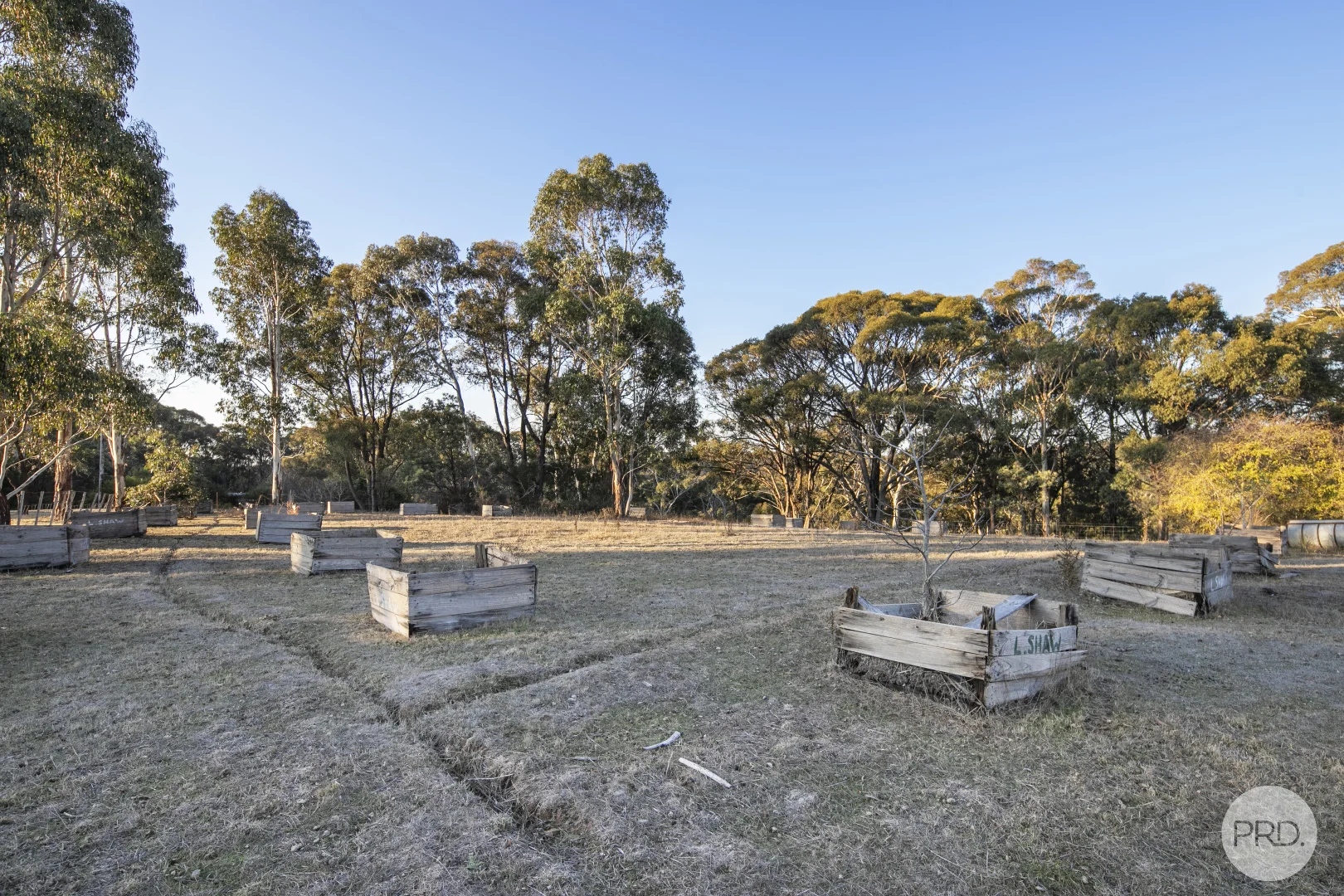 Additional image 6 of 75 Petticoat Road, Cabbage Tree VIC 3364