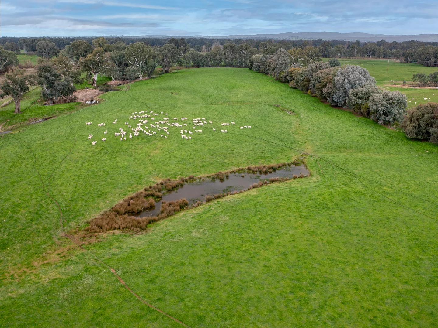 Additional image 43 of 2271 Snow Road, Markwood VIC 3678