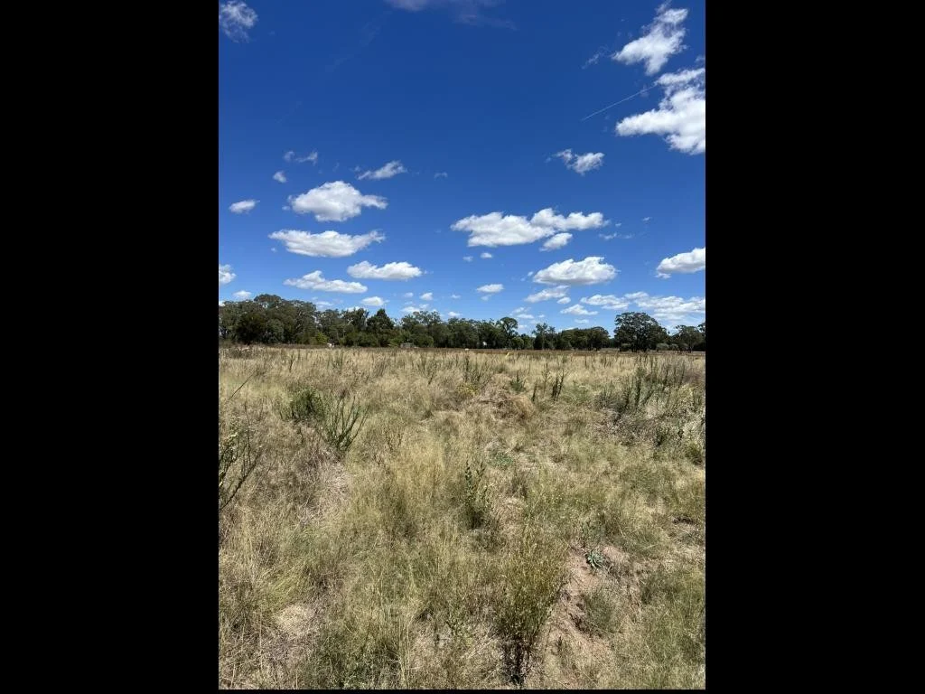 Additional image 16 of 9/7 Pezzutos Road, Colly Blue NSW 2343