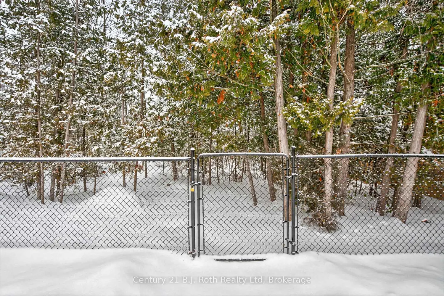 Additional image 12 of 77 Georgias Walk