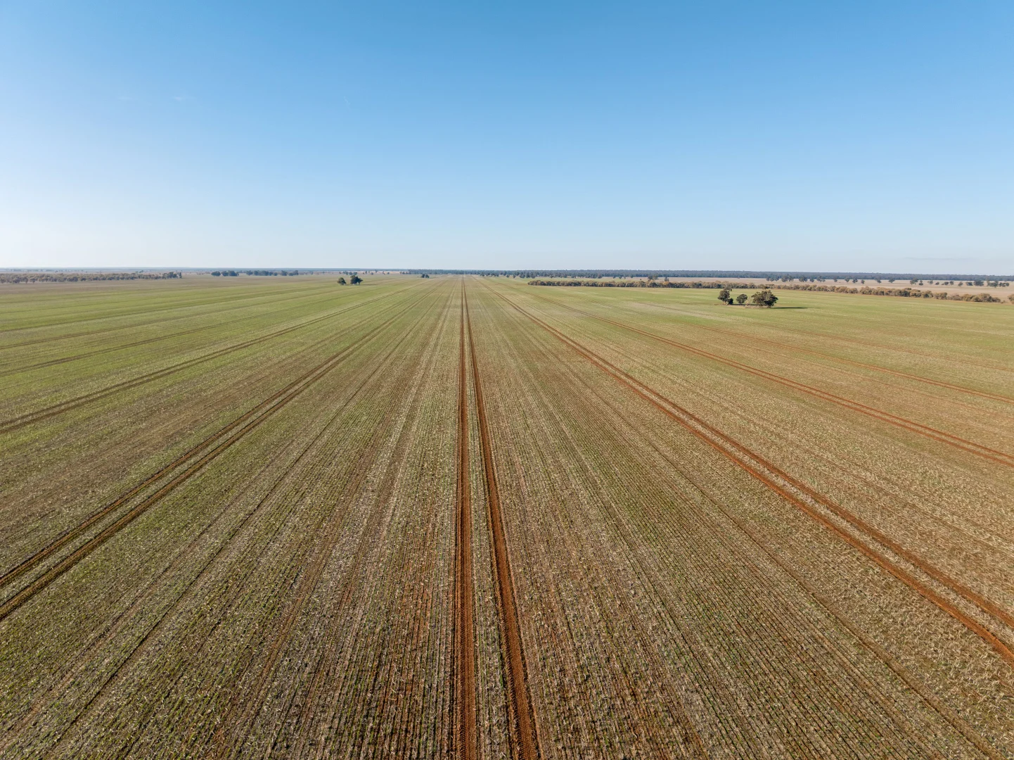 Additional image 7 of 609 Barragunda Road, Urana NSW 2645