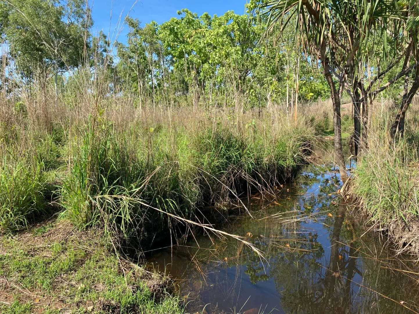 Additional image 21 of 7409 Stuart Highway, Tortilla Flats NT 0822