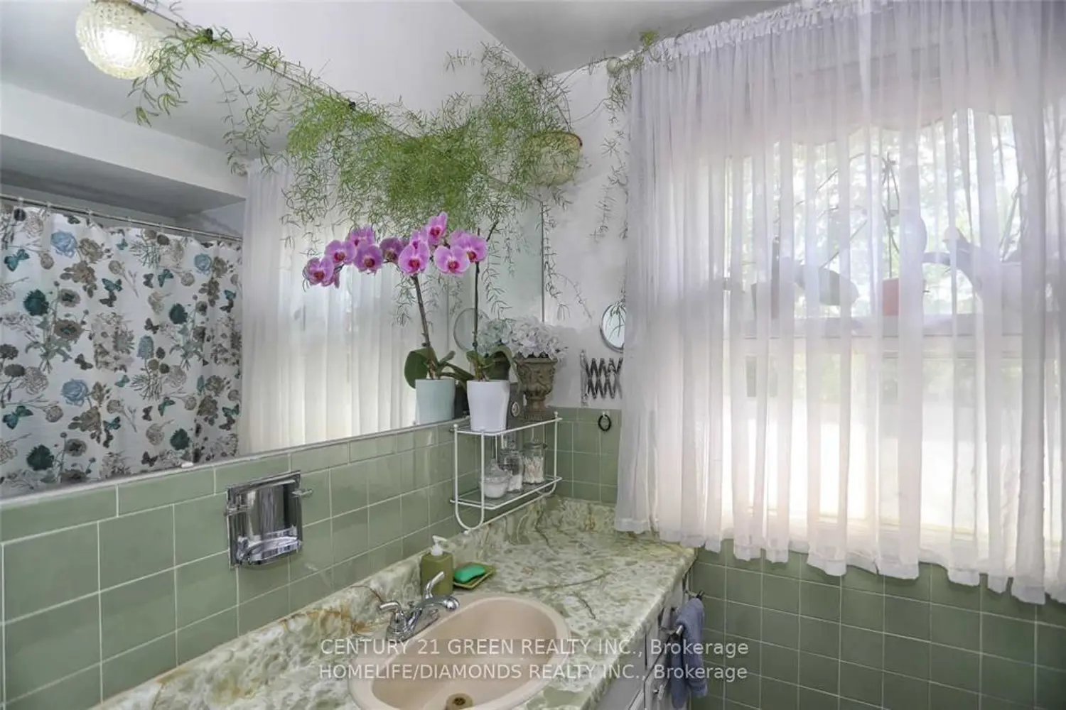 Additional image 17 of 35 York Street