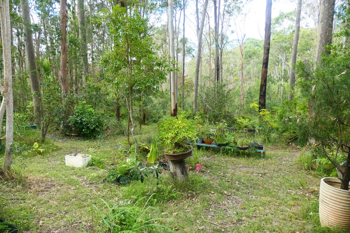 Additional image 10 of Lot 5 Long Gully Road, Drake NSW 2469