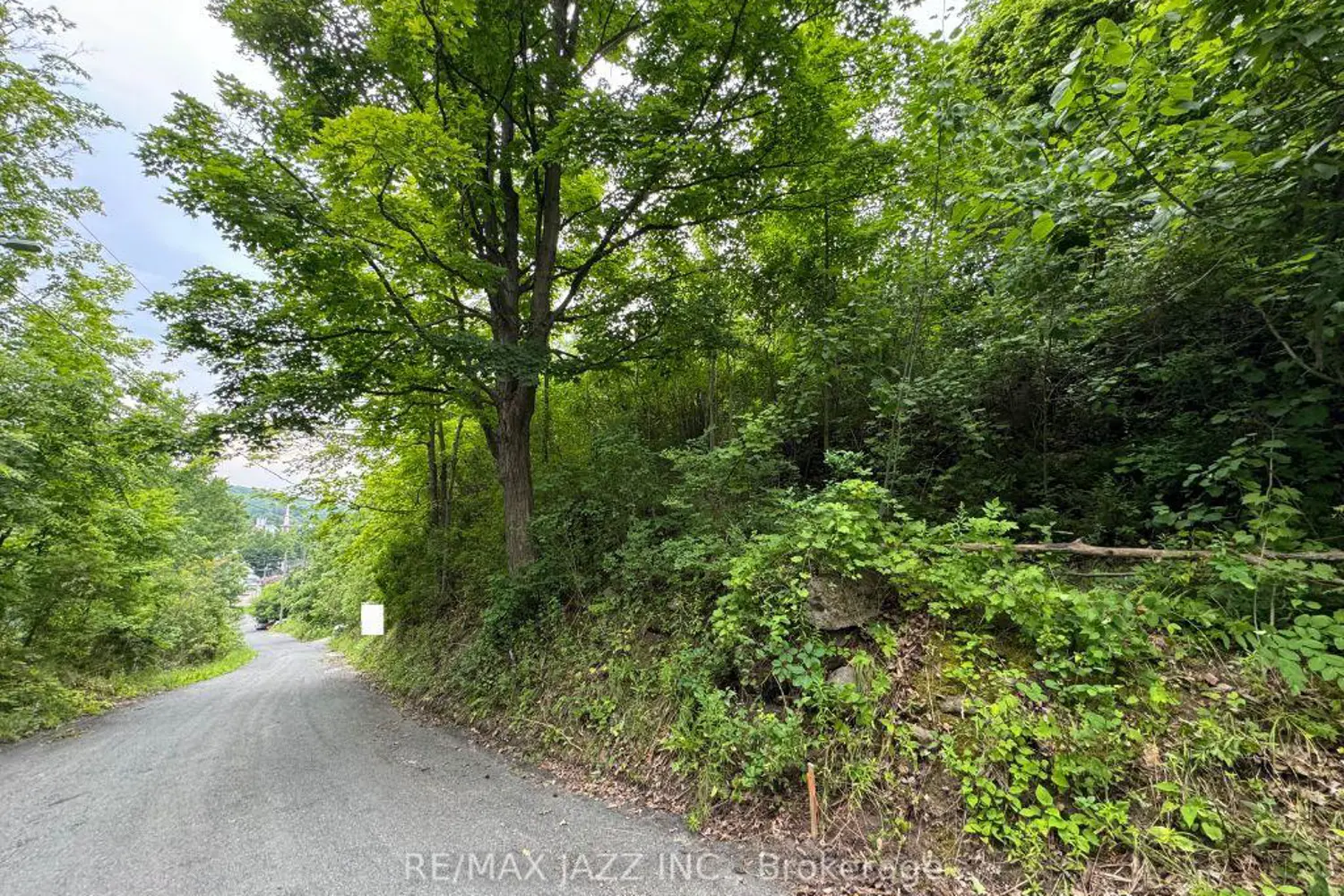 Additional image 9 of 0 Maple Street