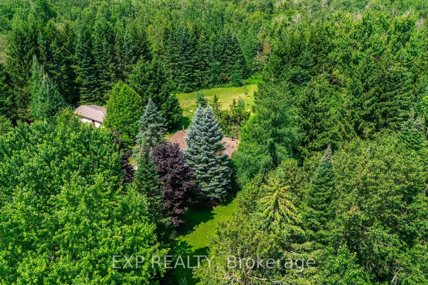 Additional image 3 of 111490 Grey County Road 14