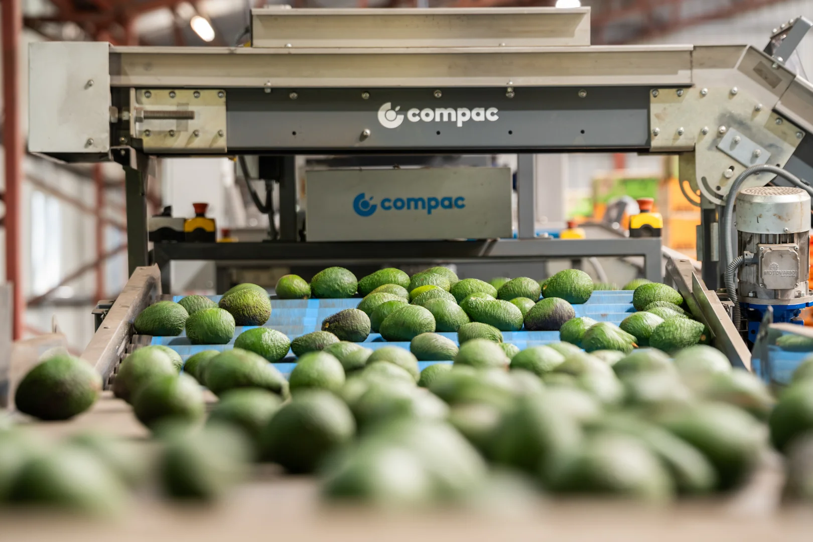 Additional image 11 of 'Ravensbourne Ridge' 45 Blanck Road, Ravensbourne QLD 4352