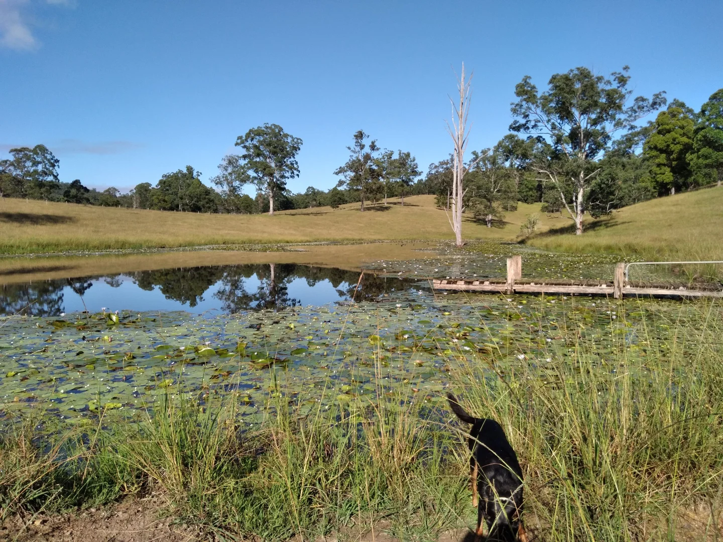 Additional image 12 of 71 SUNDOWNER ROAD, Bakers Creek NSW 2447