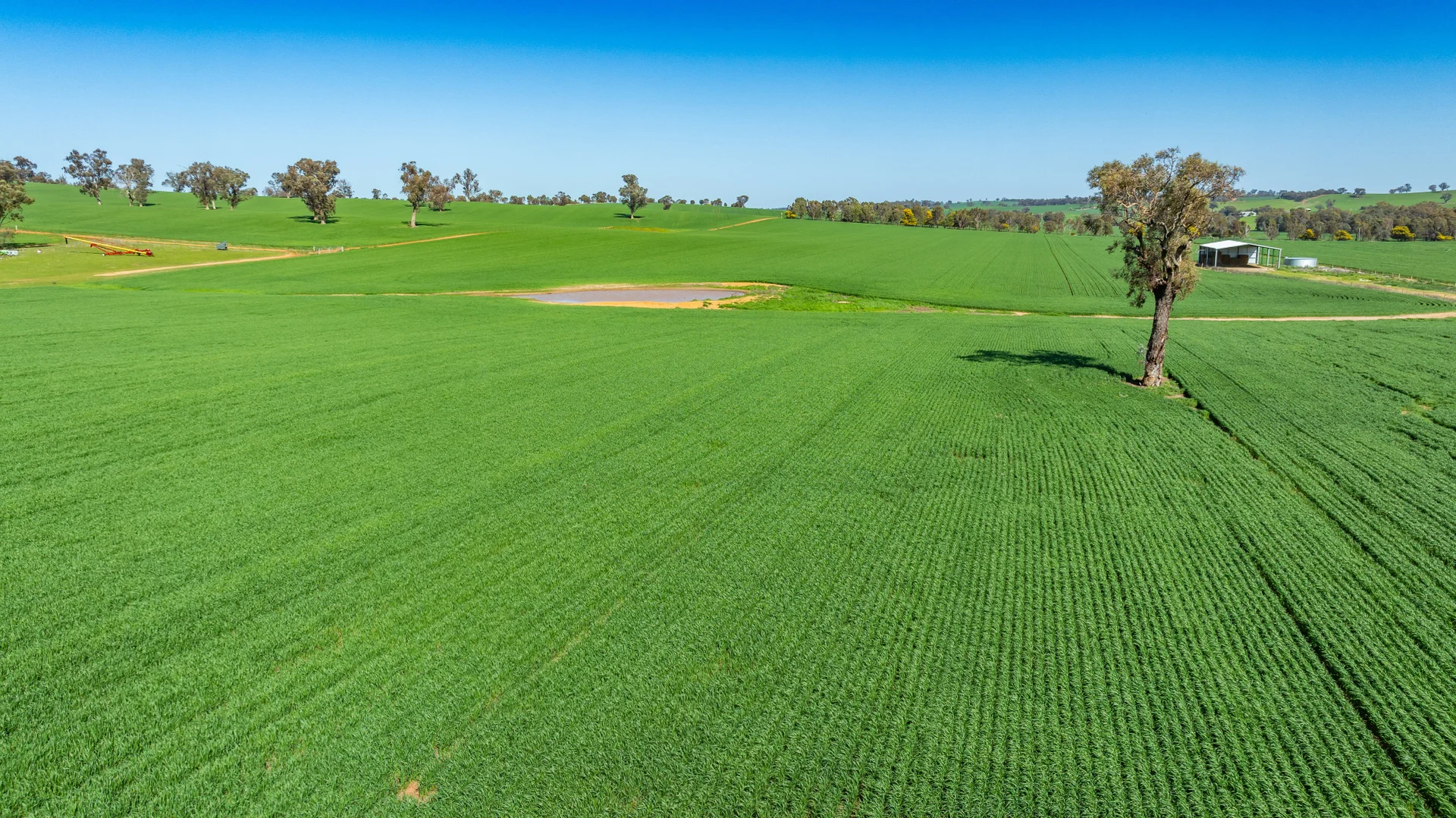 Additional image 9 of 1726 Howlong Burrumbuttock Road, Burrumbuttock NSW 2642