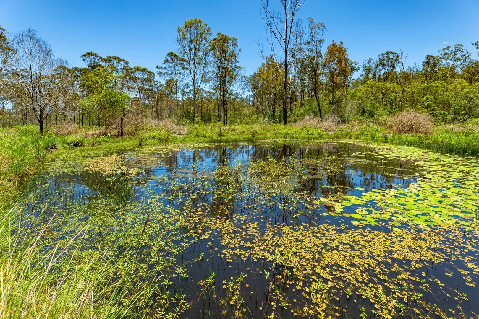 Additional image 4 of 42984 Bruce Highway, Colosseum QLD 4677
