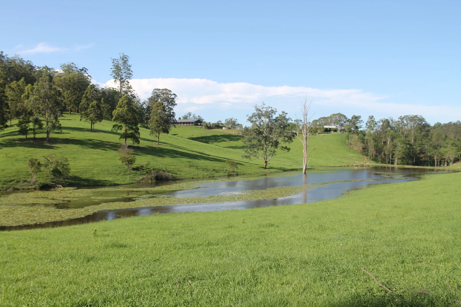 Additional image 11 of 71 SUNDOWNER ROAD, Bakers Creek NSW 2447