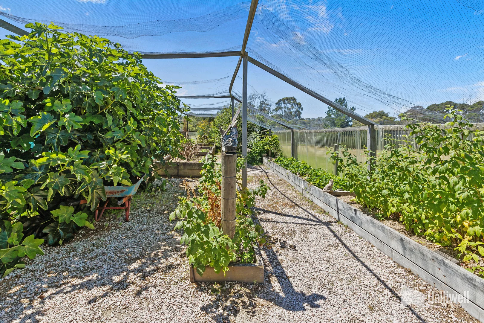 Additional image 31 of 10 Browns Road, Port Sorell TAS 7307