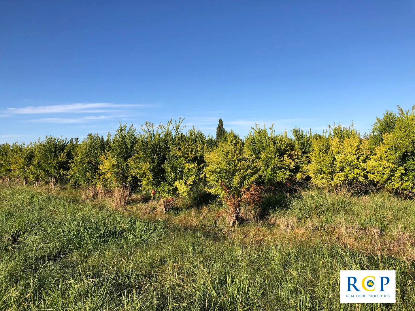 Additional image 5 of 275 Channel Road, Orrvale VIC 3631