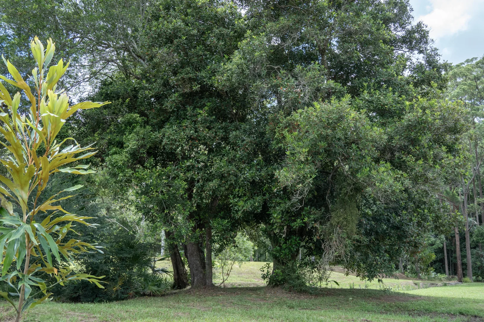 Additional image 12 of 32 Dunne Road, Glenview QLD 4553