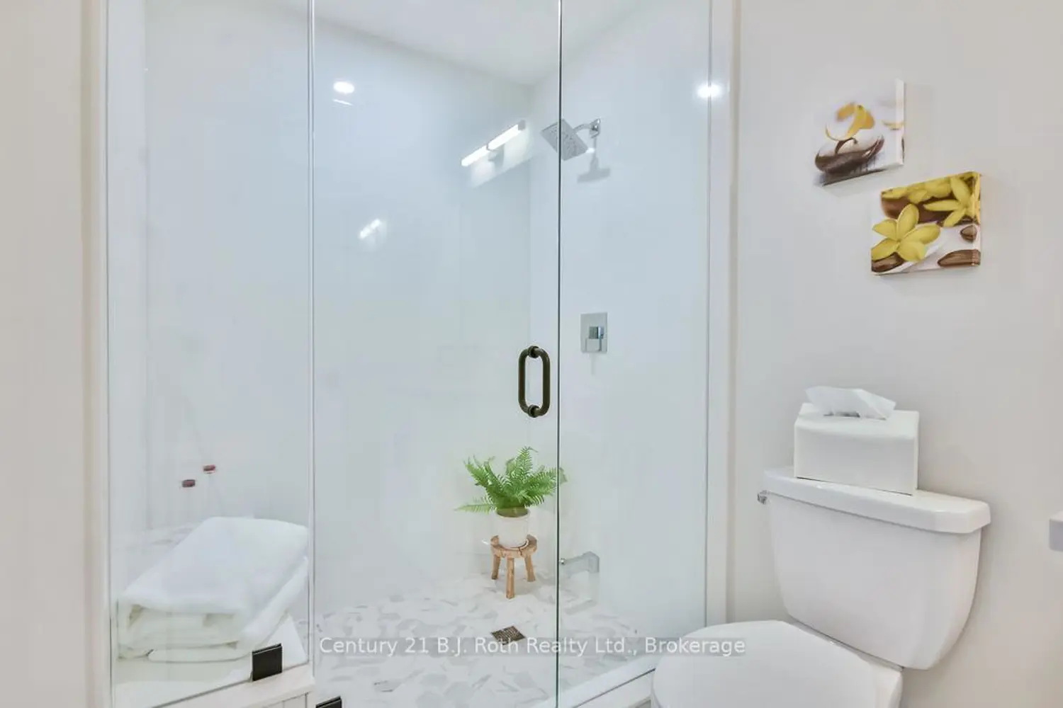 Additional image 11 of 53 Dock Lane 27