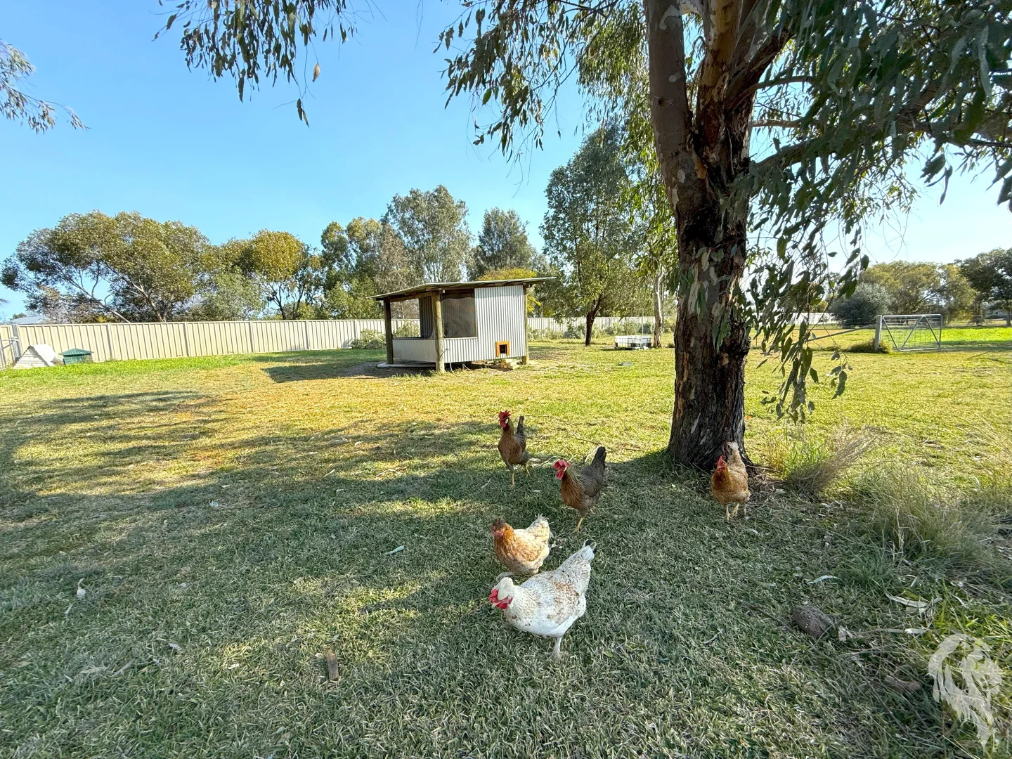 Additional image 23 of 18 Riverside Drive, Narrabri NSW 2390