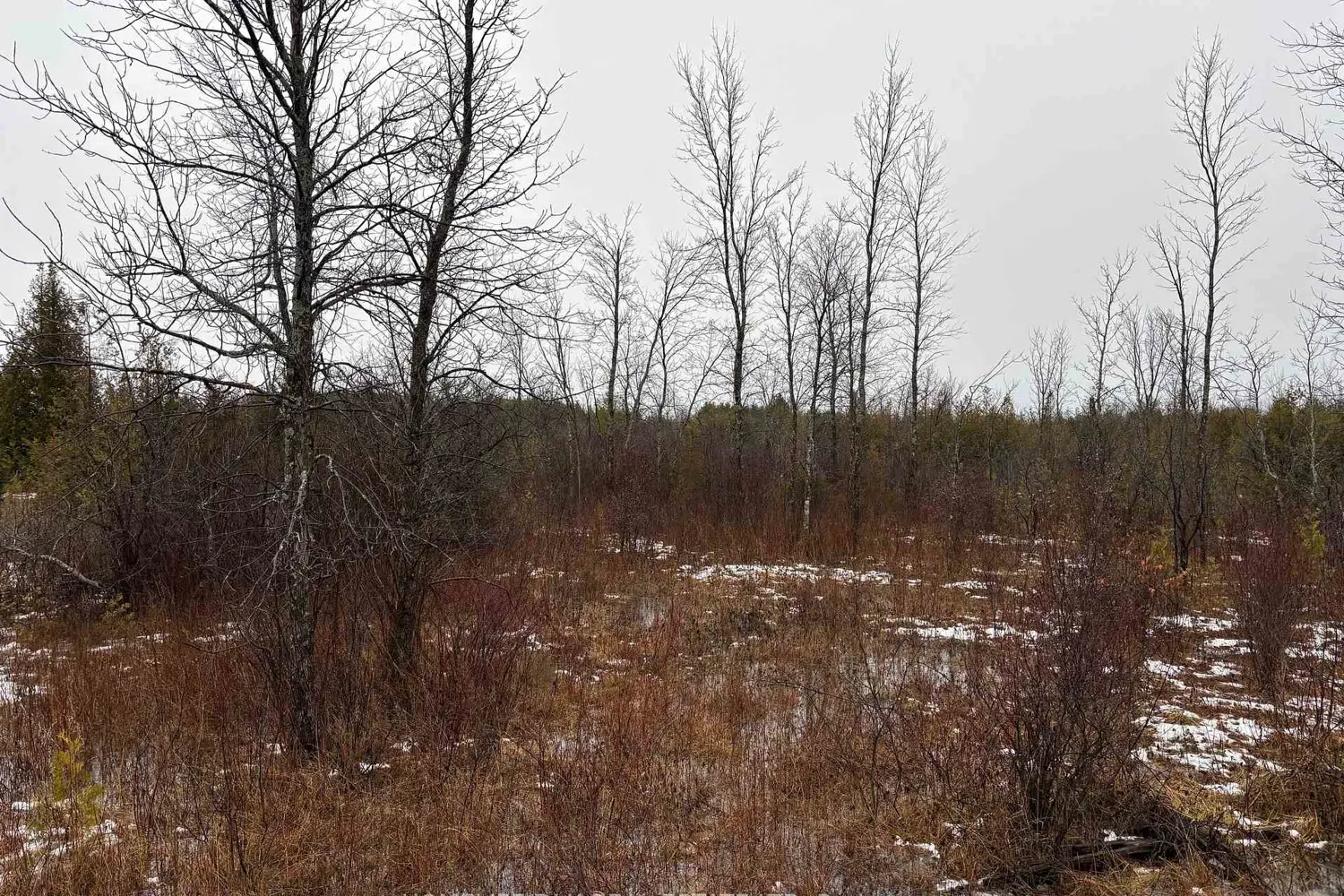 Additional image 3 of 0 6Th Concession Road