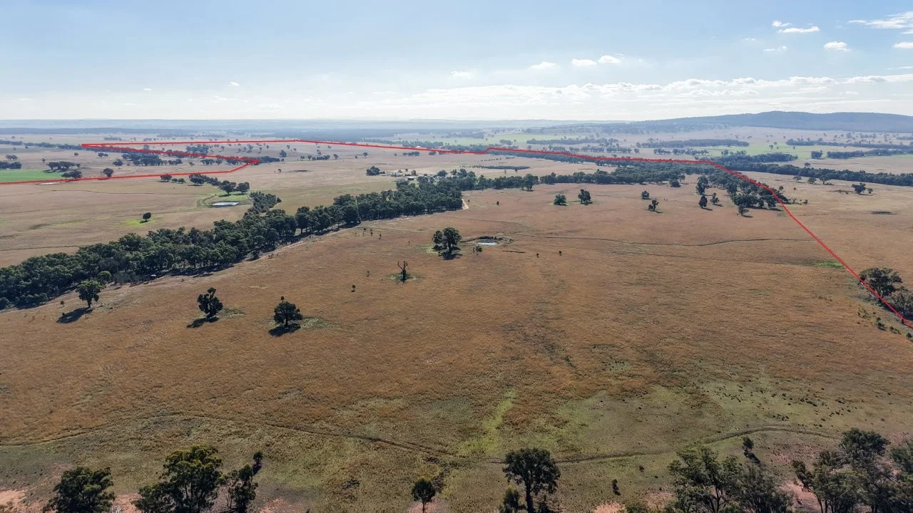 Additional image 21 of 3761 Neilrex Road, Neilrex NSW 2831