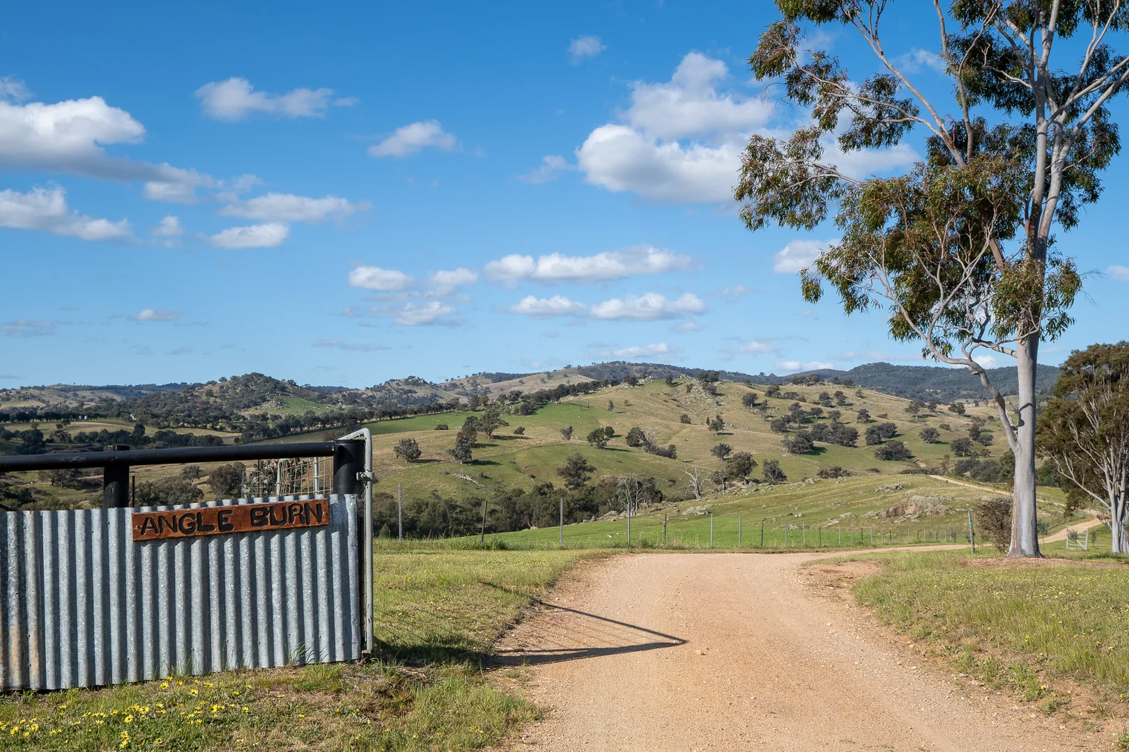 Additional image 3 of 'Angle Burn' 101 Clearview Road, Darbys Falls NSW 2793