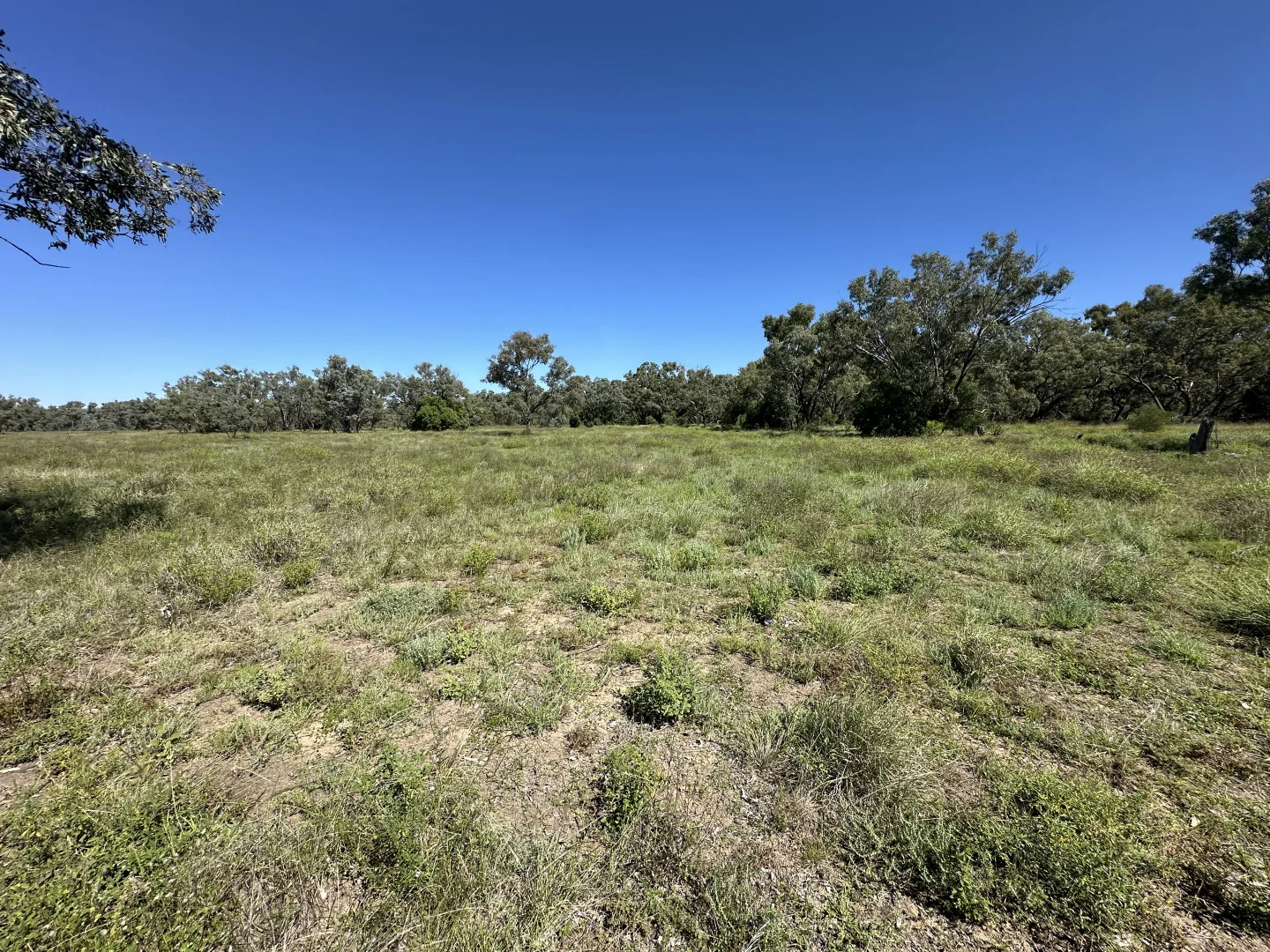 Additional image 27 of 0 Old Cunnamulla Road, Charleville QLD 4470