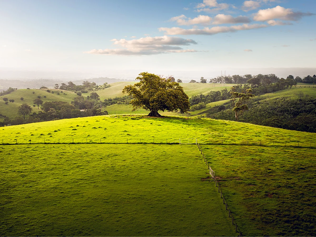 Additional image 7 of Lot 1179 Proposed Road, Gilead NSW 2560