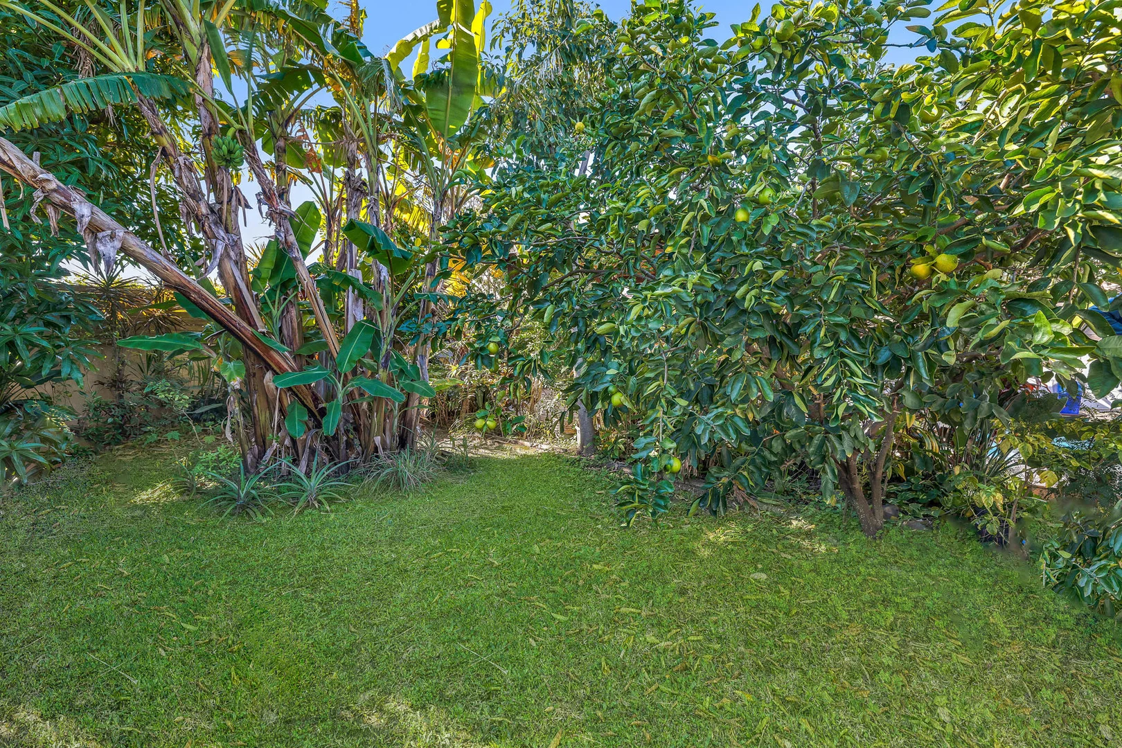 Additional image 21 of 37 St Andrews Avenue, Isle Of Capri QLD 4217