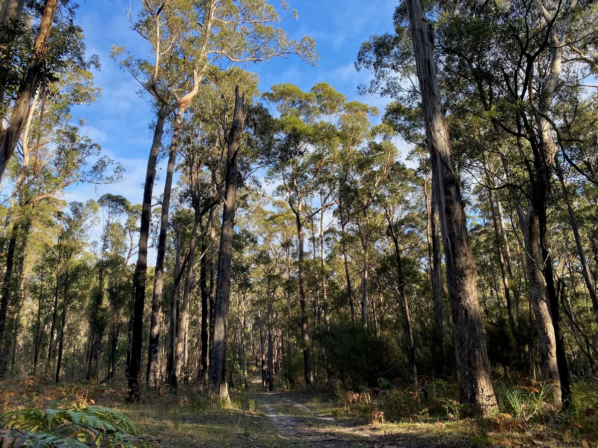 Additional image 11 of 210 Lens Road, Toorloo Arm VIC 3909