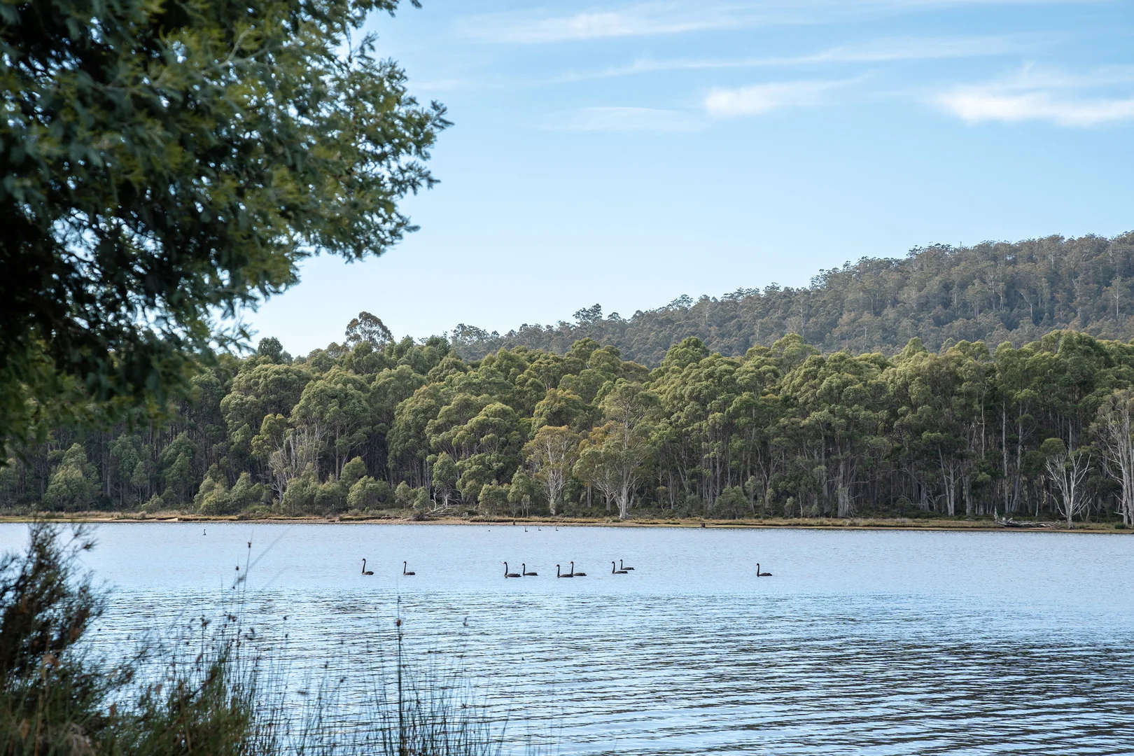 Additional image 8 of 1 & 2/172 Woodwards Bay Road, Bradys Lake TAS 7140