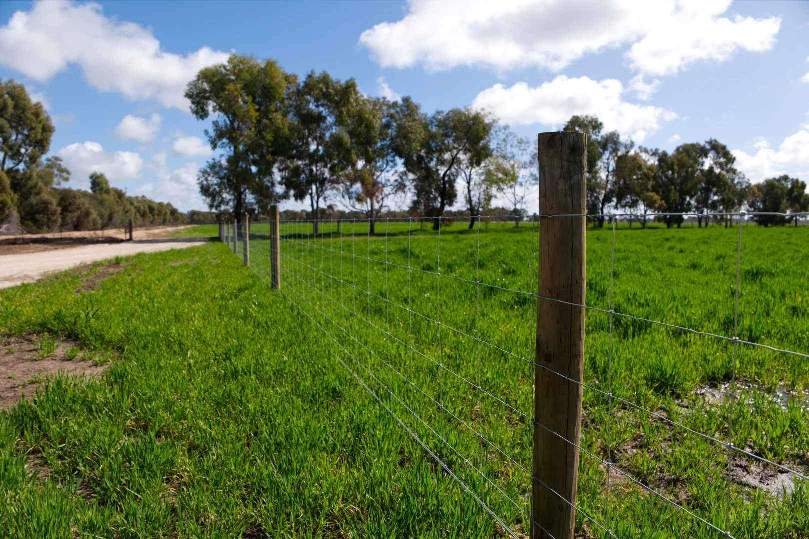 Additional image 19 of 19 Little Murray Weir Road, Castle Donnington VIC 3585