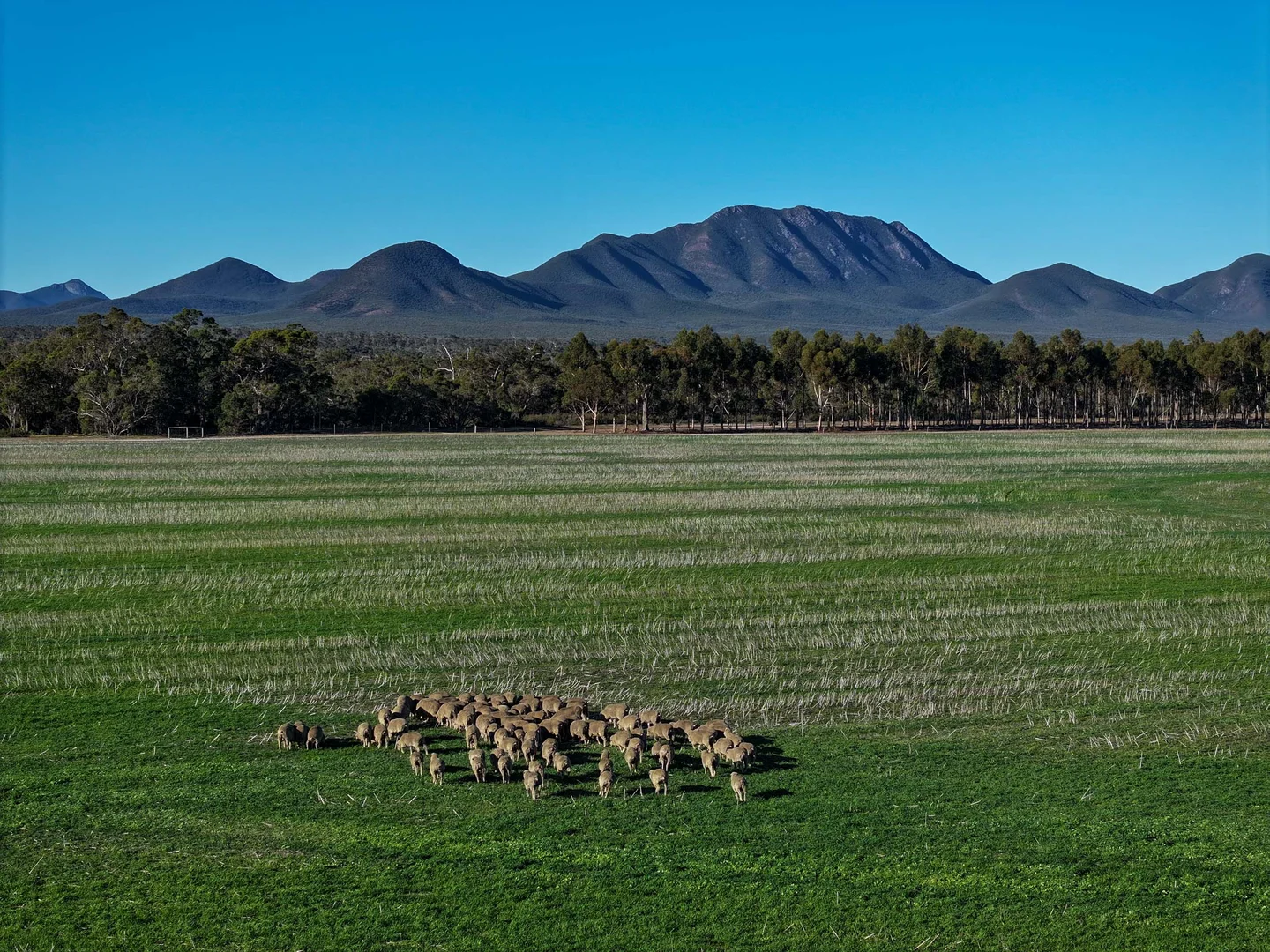 Additional image 14 of 712 View Range Road, Kendenup WA 6323