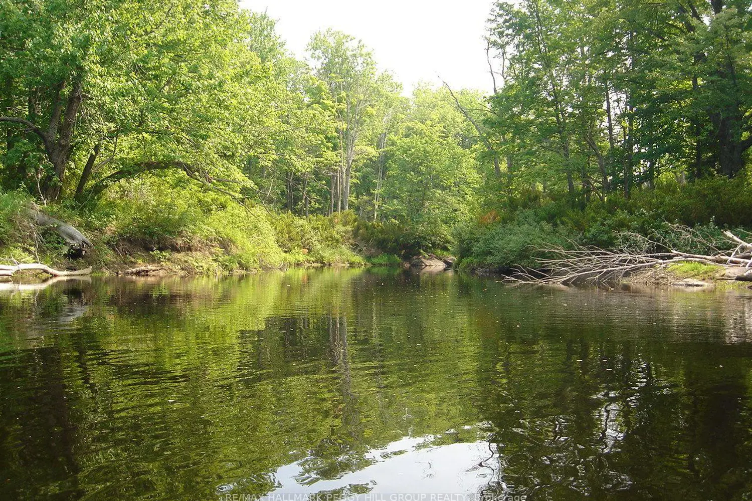 Additional image 6 of 7012 County Road 169