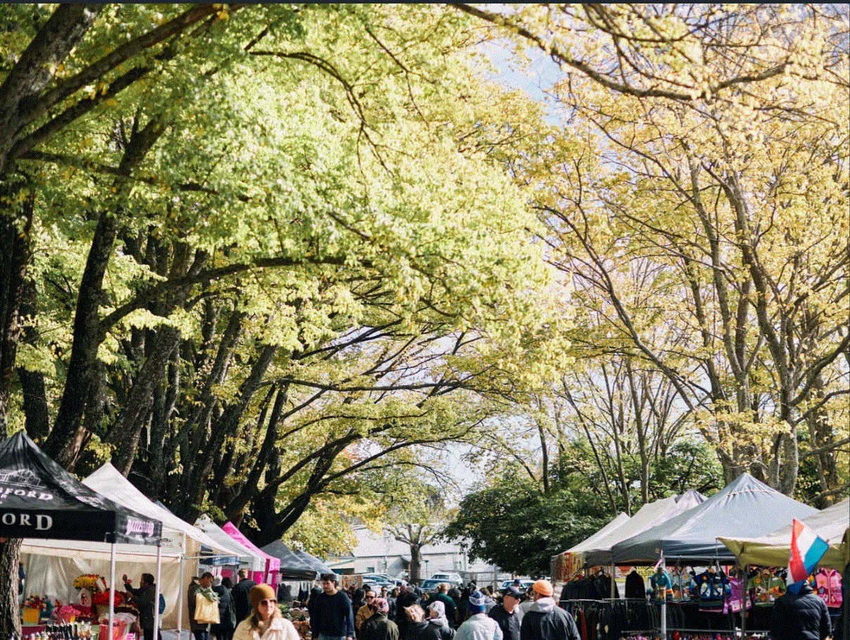 Additional image 7 of 10/17 Smith Street, Daylesford VIC 3460
