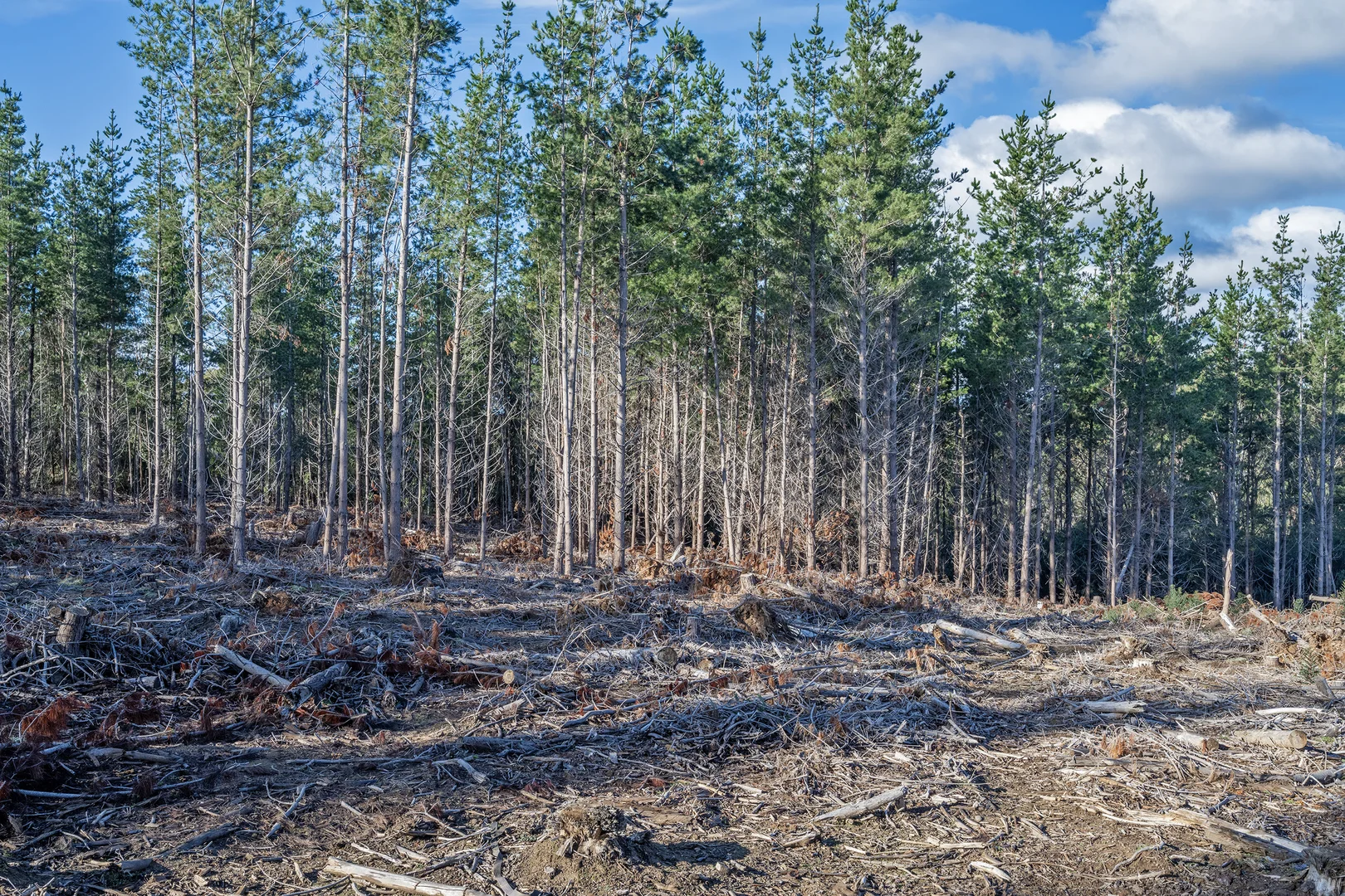 Additional image 8 of . Frankford Road, Harford TAS 7307