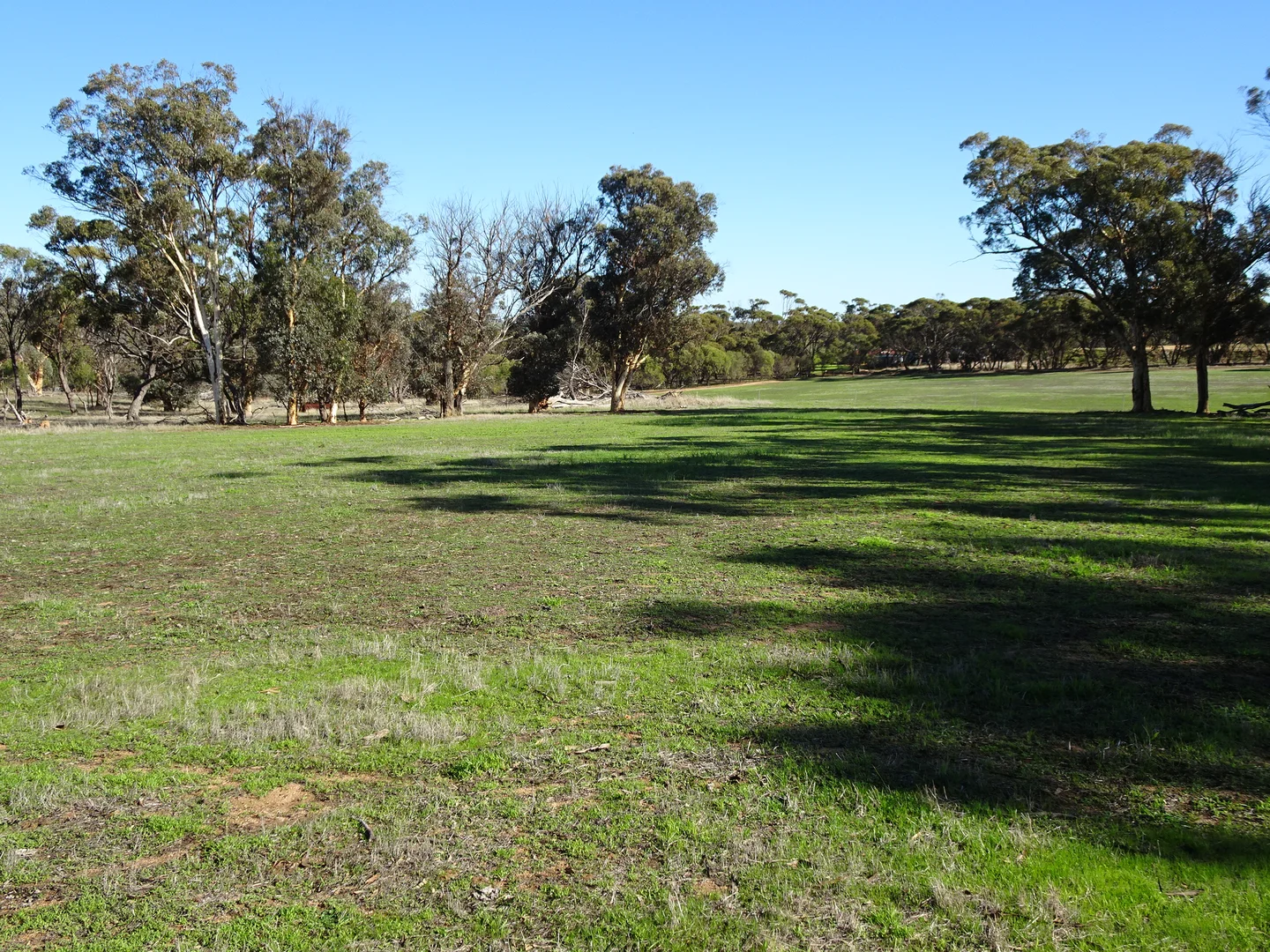 Additional image 14 of Shaddick Road, East Pingelly WA 6308