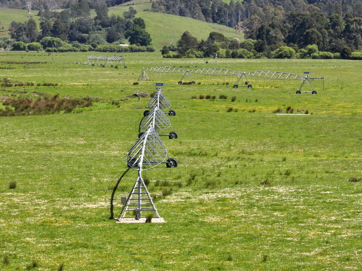 Additional image 14 of 569 St Columba Falls Road, Pyengana TAS 7216