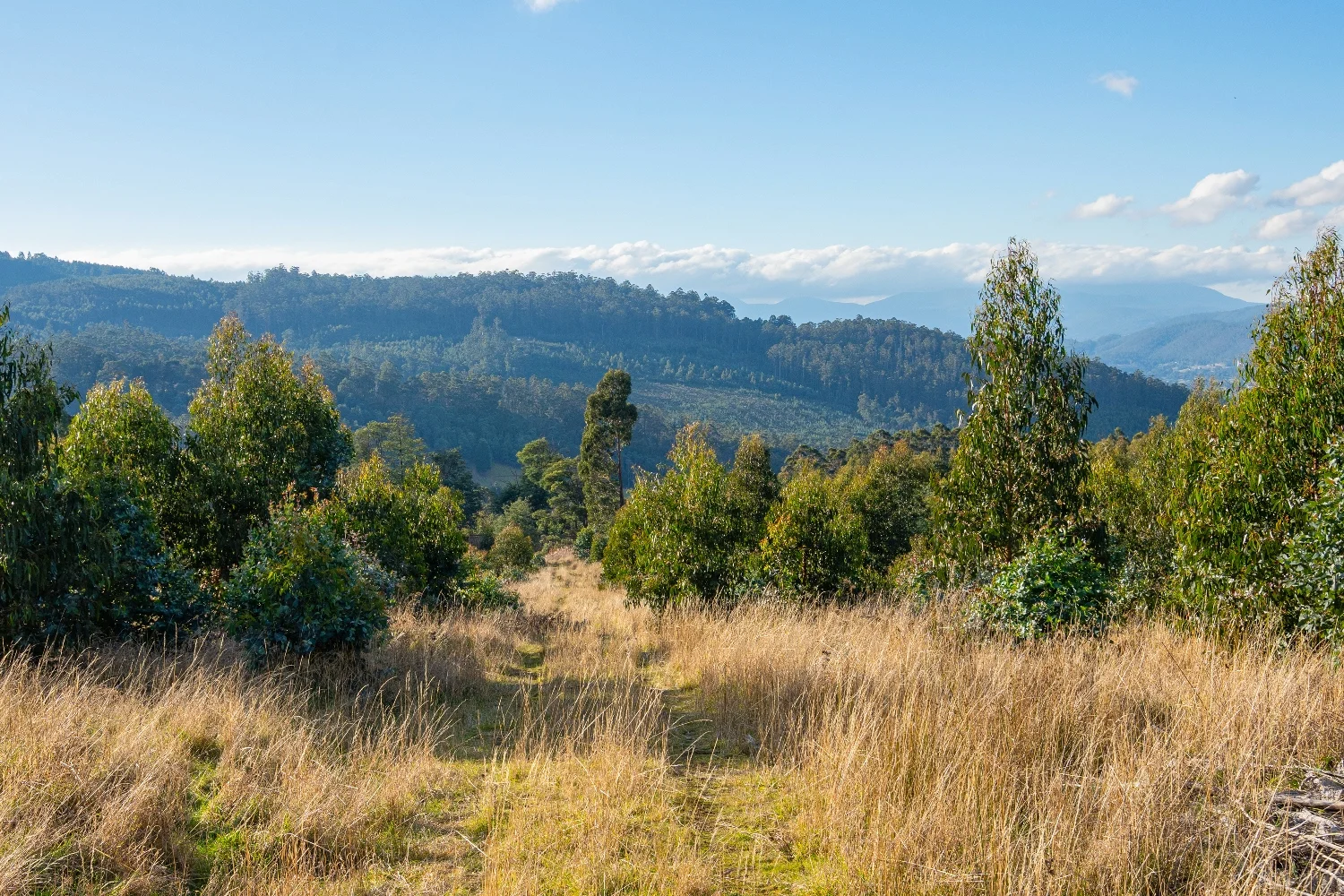 Additional image 5 of Lot 7 off Paddys Lane, Franklin TAS 7113