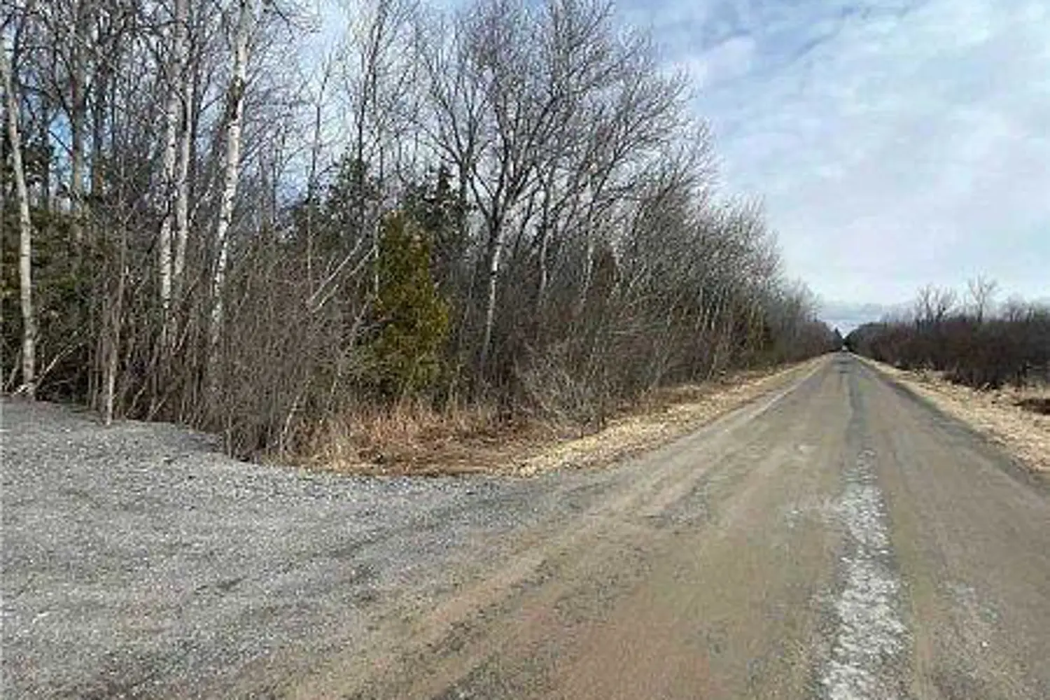 Additional image 6 of Ptlt 11 Concession 14 Road