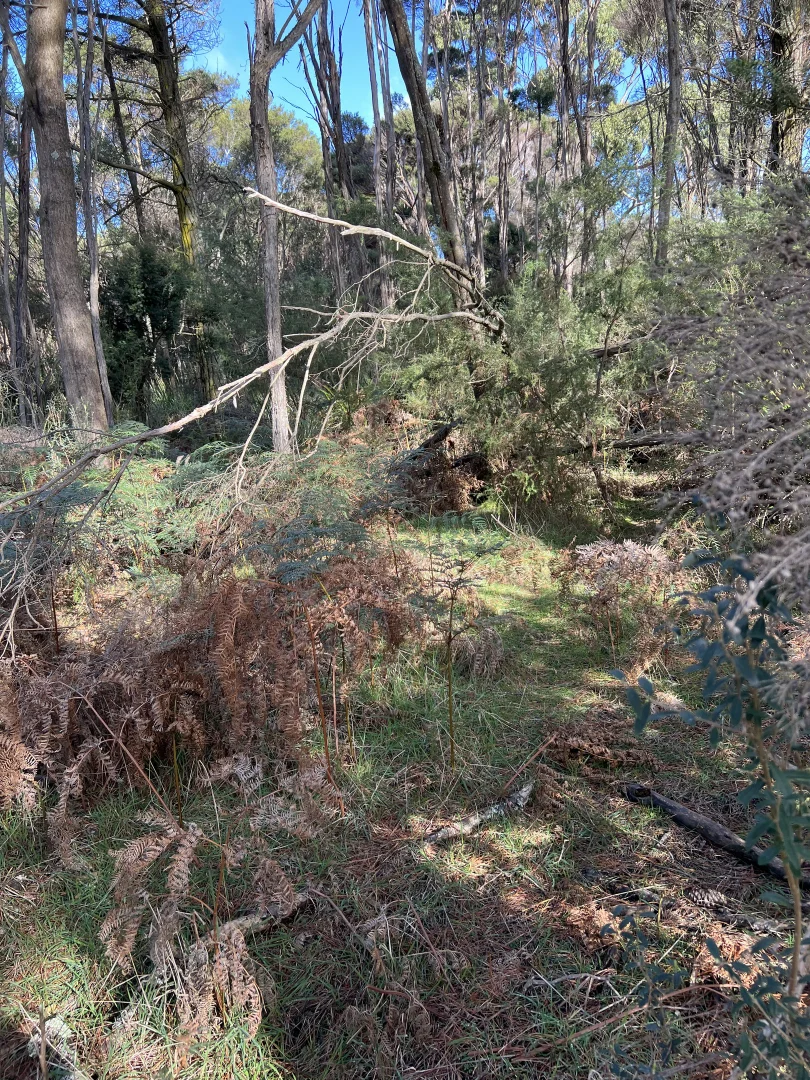 Additional image 12 of 1038 Pegarah Road, Naracoopa TAS 7256