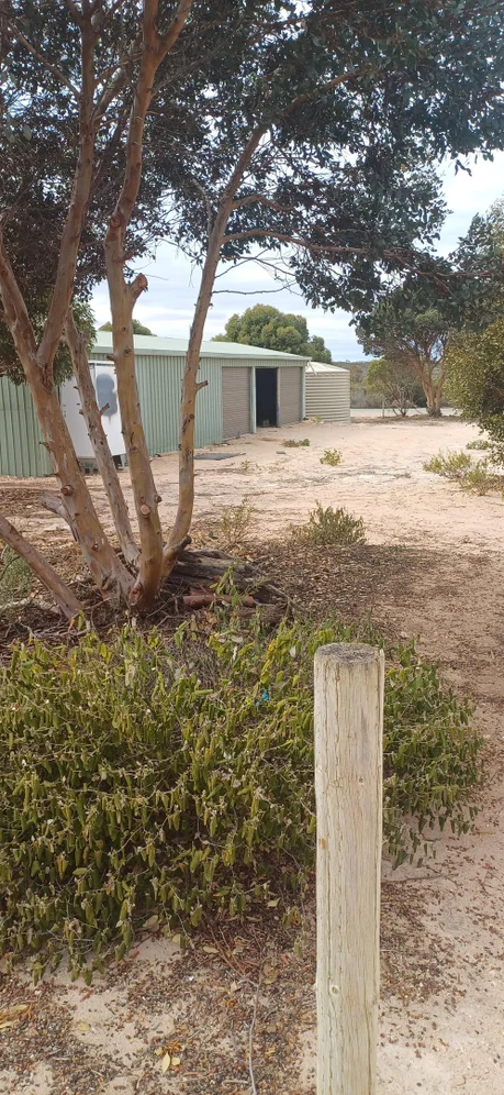 Additional image 2 of 51 Deor Way, Eba Anchorage SA 5680