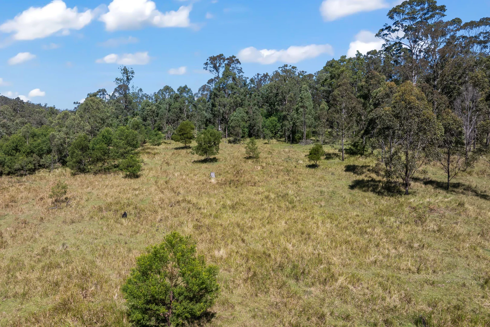 Additional image 3 of 97 Long Gully Road, Drake NSW 2469